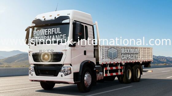 25 Tons Commercial Integral Bumper Cargo Truck for Transporting Goods