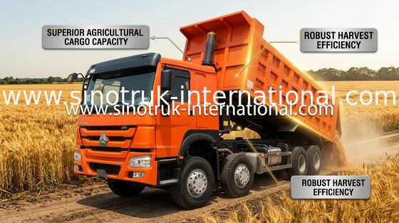 کامیون Tipper SINOTRUK HOWO 371HP 12 چرخ LHD 31 تن 20-30CBM ZZ3317N3567W