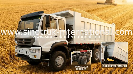 SINOTRUK طلای شاهزاده کامیون کمپرسی 10Wheels 336HP LHD 25-30tons ZZ3251N3641W