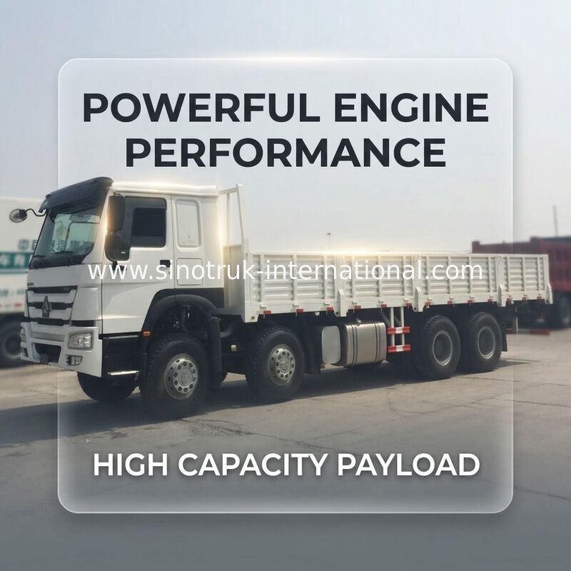 SINOTRUK Heavy Duty Lorry Cargo Truck 9280 * 2300 * 800mm Commercial Truck And Van