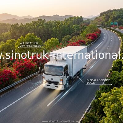کامیون یخچال دار SINOTRUK HOWO 10 تنی 160 اسب بخار RHD